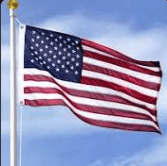 Dallas Veterans Day Parade